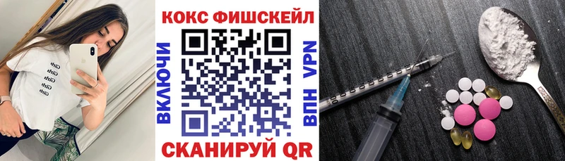 Купить где  Пыталово  COCAIN Fish Scale 