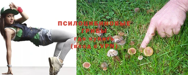 гашиш Бородино