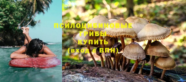 соль ск Бугульма