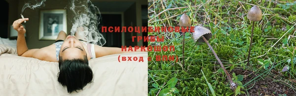 гашиш Бородино