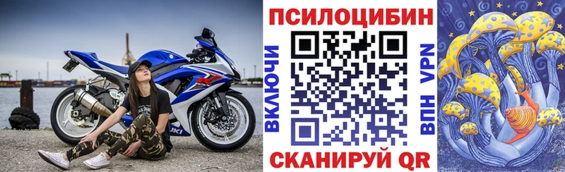 Купить закладки Пыталово Галлюциногенные грибы прущие грибы